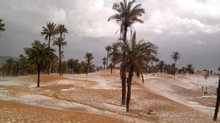 שלג בסהרה&#058; שינויי אקלים ומחאה במגרב