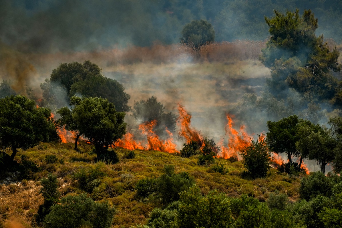 שריפה בגליל בעקבות טילם מלבנון. צילום: פלאש 90